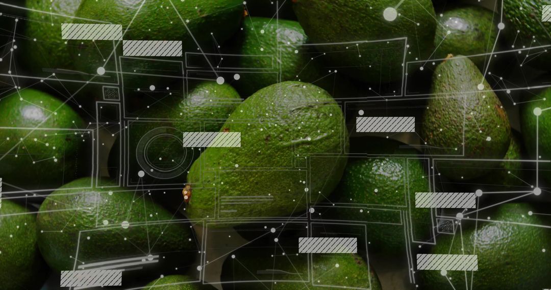 Fresh Ripe Avocados with Digital Network Overlay Concept