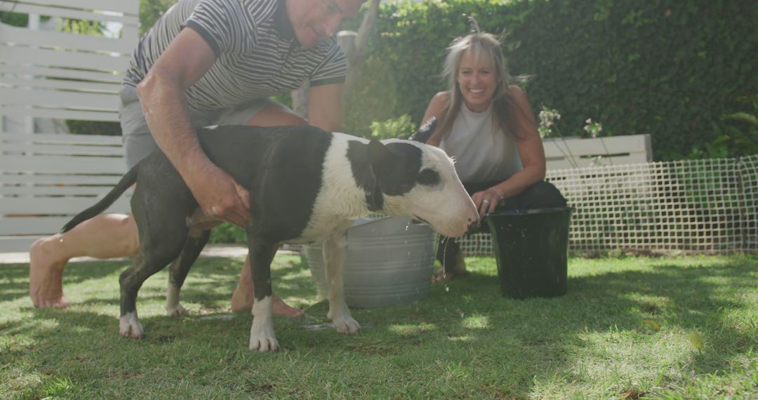 Couple bathing dog in backyard on a sunny day - Free Images, Stock Photos and Pictures on Pikwizard.com