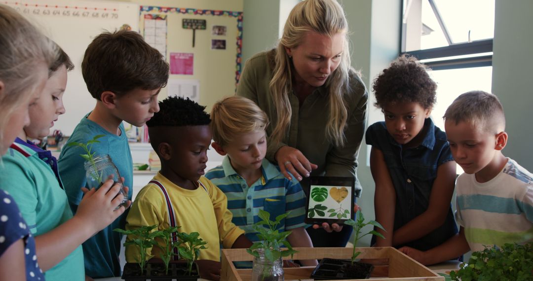 Teacher Showing Plant Life Cycle to Engaged Multiracial Kids in Classroom - Free Images, Stock Photos and Pictures on Pikwizard.com