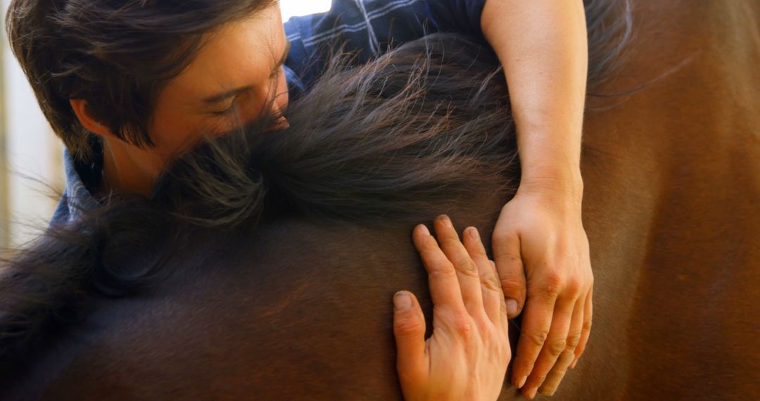 Person Embracing Horse, Expressing Bond of Affection - Free Images, Stock Photos and Pictures on Pikwizard.com