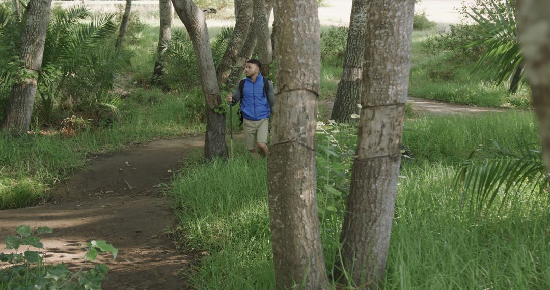 Man Hiking Through Lush Forest Trail on Sunny Day - Free Images, Stock Photos and Pictures on Pikwizard.com