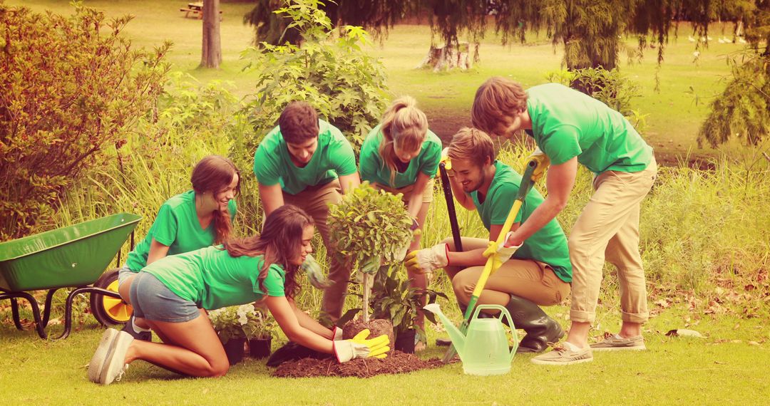 Volunteers Planting Tree in Park, Promoting Environmental Conservation - Free Images, Stock Photos and Pictures on Pikwizard.com