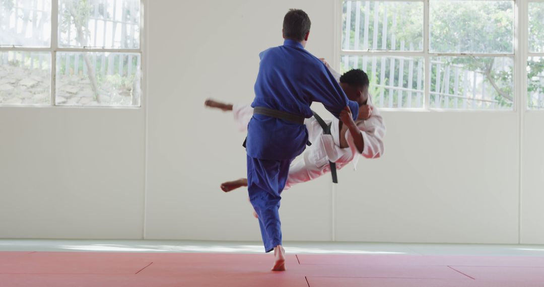 Martial Arts Practitioners Practicing Throw Techniques in Gym - Free Images, Stock Photos and Pictures on Pikwizard.com