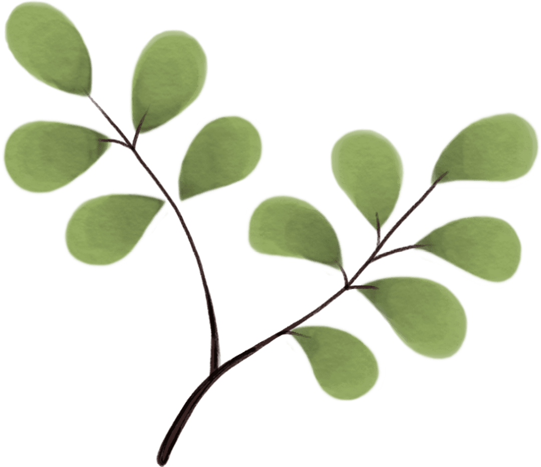 Illustrated Branch with Green Leaves on Transparent Background