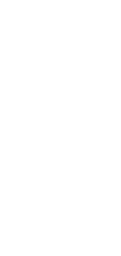 Transparent Silhouette of Female Badminton Player Performing Smash - Download Free Stock Images Pikwizard.com