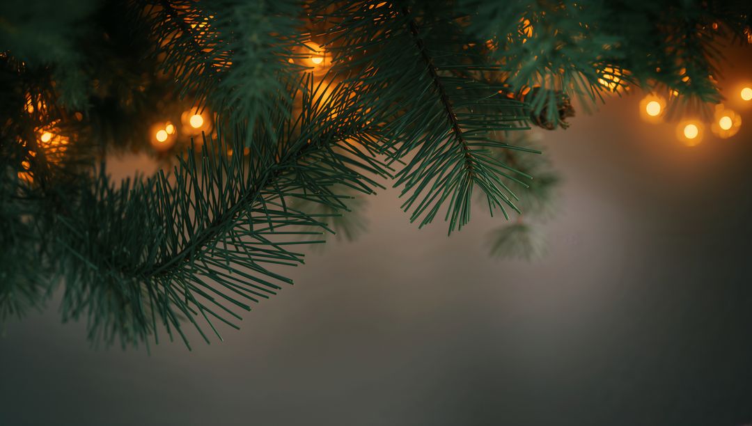 Evergreen Branch Featuring Warm Bokeh Lights Creating Cozy Holiday Background with Space for Text
