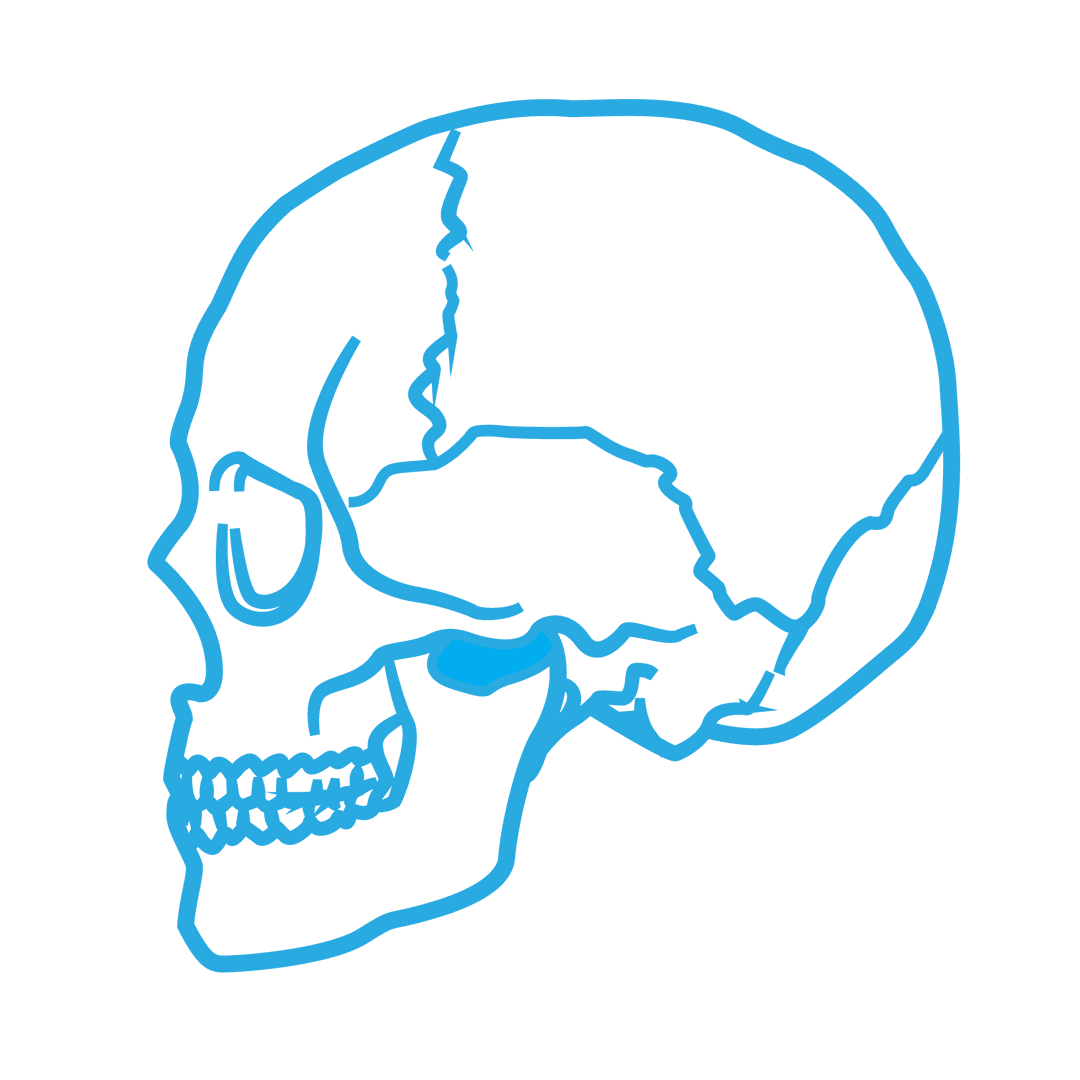 Transparent Blue Skull Line Art Icon on Clear Background