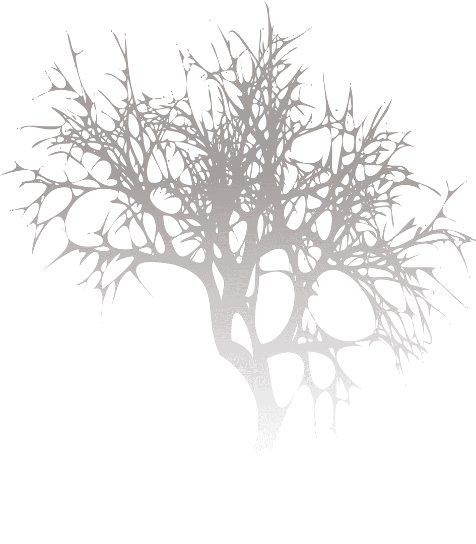 Intricate Bare Tree Silhouette with Web-Like Branches on Transparent