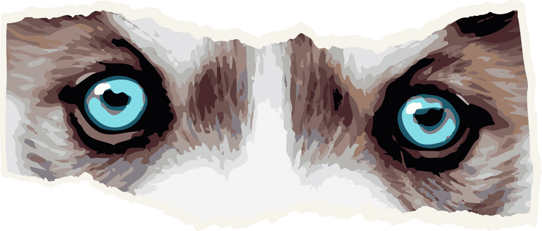 Blue Cat Eyes Peeking Through Torn Edges Transparent Artwork