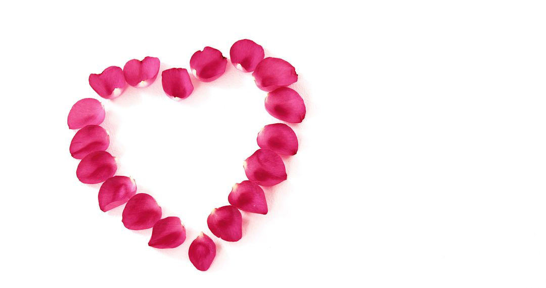 Heart Shaped Arrangement of Pink Rose Petals on White Background - Free Images, Stock Photos and Pictures on Pikwizard.com
