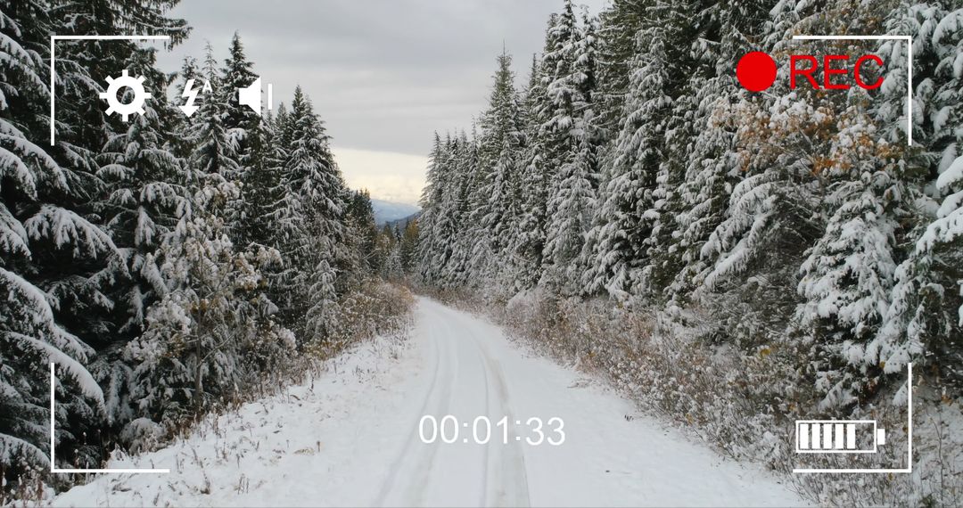 Winter Forest Road Viewed Through Camera in Recording Mode