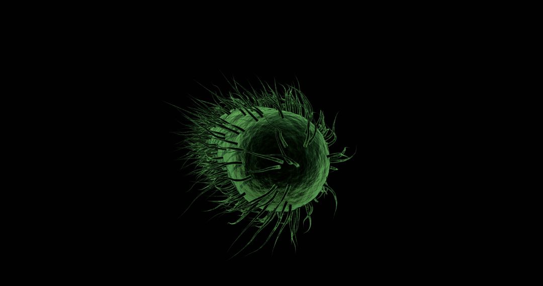 Detailed 3D Green Microbe Illustration on Black Background - Free Images, Stock Photos and Pictures on Pikwizard.com