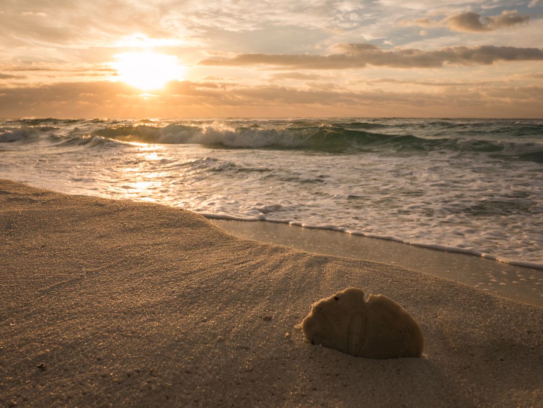 Golden Sunset Waves Lapping Sand with Lone Seashell on Tranquil Shoreline