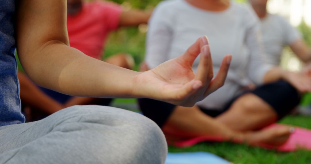 People Meditating Outdoors on Grass in Nature - Free Images, Stock Photos and Pictures on Pikwizard.com