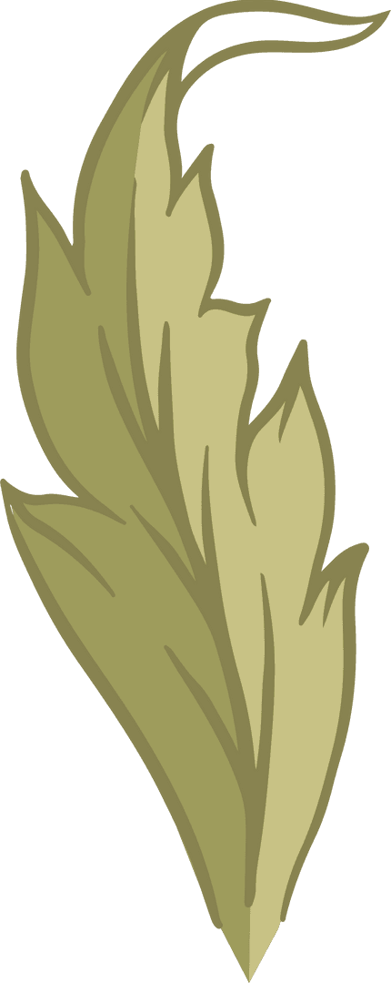 Abstract Botanical Frond on Transparent Background