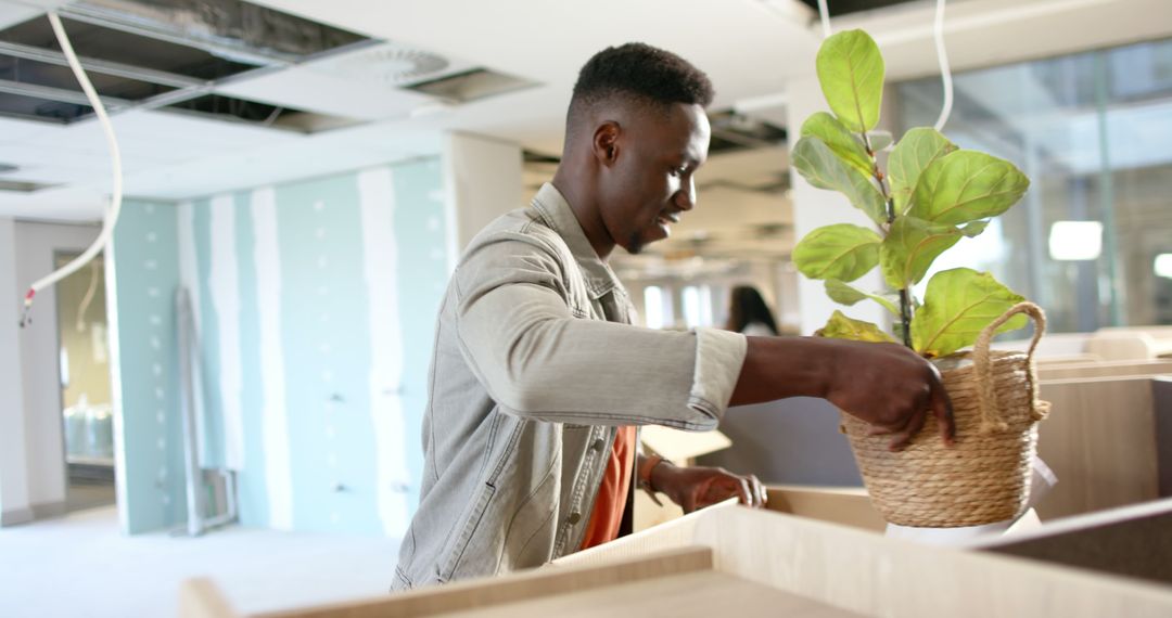 Man Placing Plant in New Office Space - Free Images, Stock Photos and Pictures on Pikwizard.com