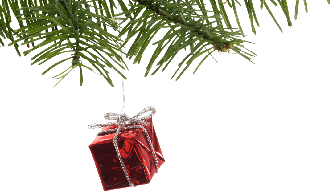 Transparent christmas gift ornament hanging pine branch