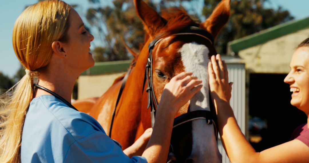 Veterinarian and Assistant Caring for Horse Outdoors - Free Images, Stock Photos and Pictures on Pikwizard.com