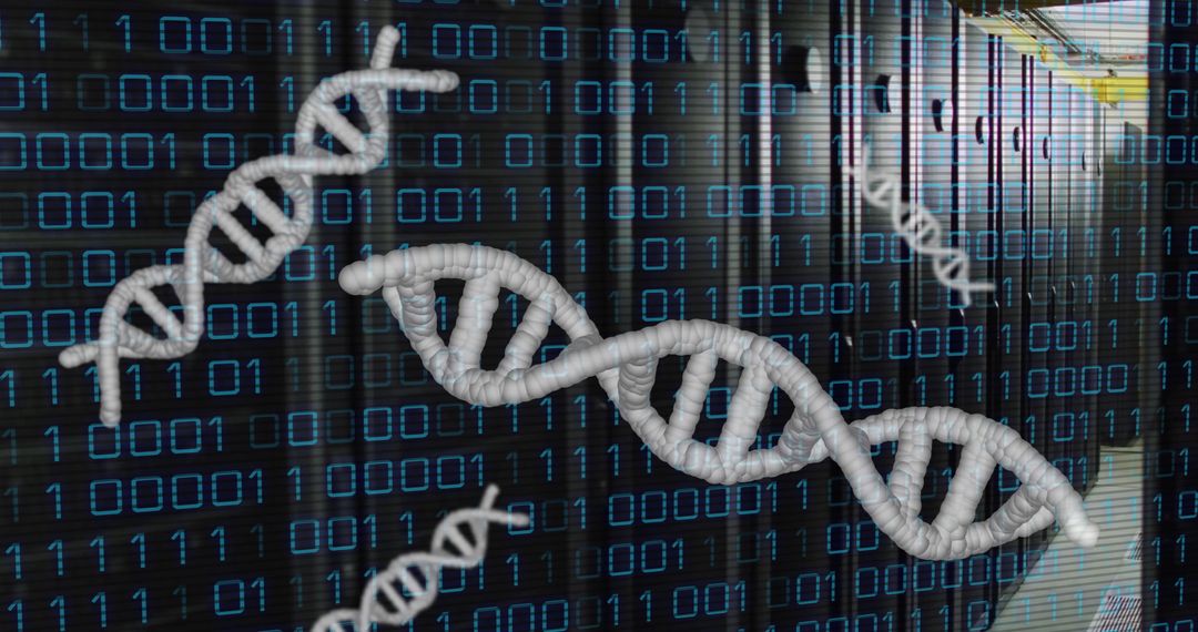 dna molecules with binary code over computer servers concept - Free Images, Stock Photos and Pictures on Pikwizard.com