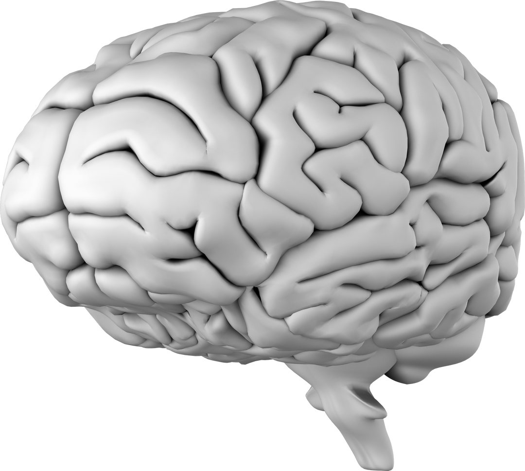 Transparent 3D Human Brain Digital Illustration for Knowledge and Mental Health Concepts - Download Free Stock Images Pikwizard.com