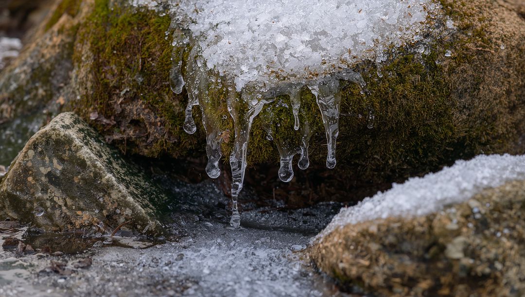 Moss-Covered Rock Dripping Icicles Over Frozen Stream Bed with Granular Snow Patches