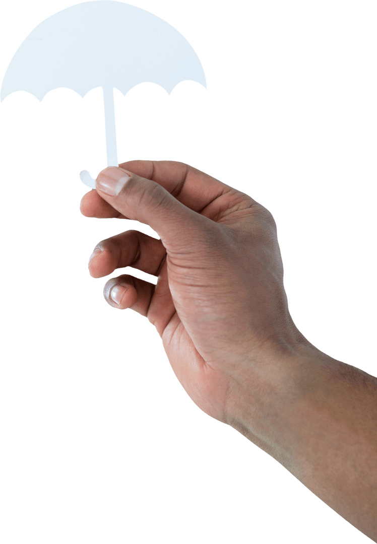 Transparent Paper Cutout Umbrella Held by Hand