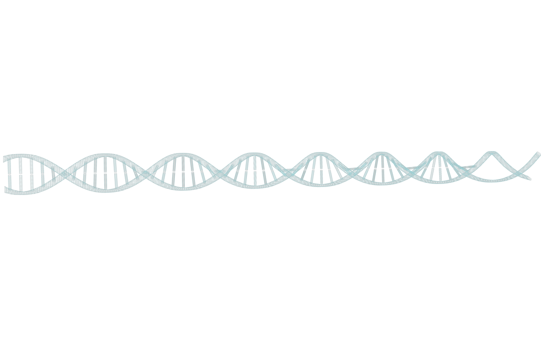 3D Transparent DNA Double Helix Close-Up - Download Free Stock Images Pikwizard.com