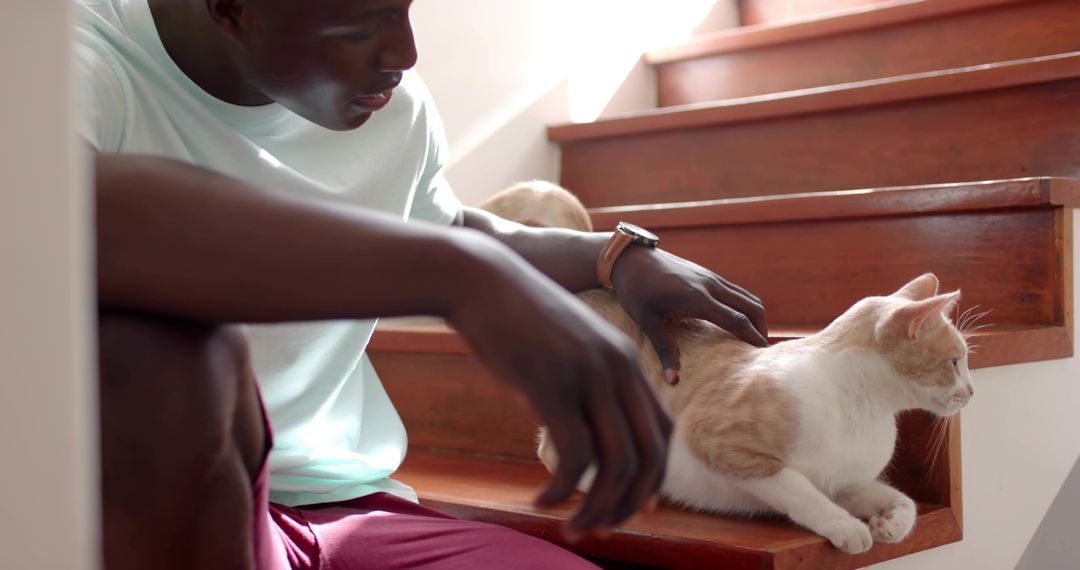 Man petting cream and white cat on wooden stairs at home, sunlight and relaxation