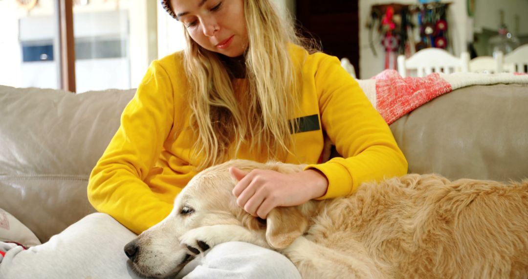 Happy caucasian female teenager petting her dog at home - Free Images, Stock Photos and Pictures on Pikwizard.com