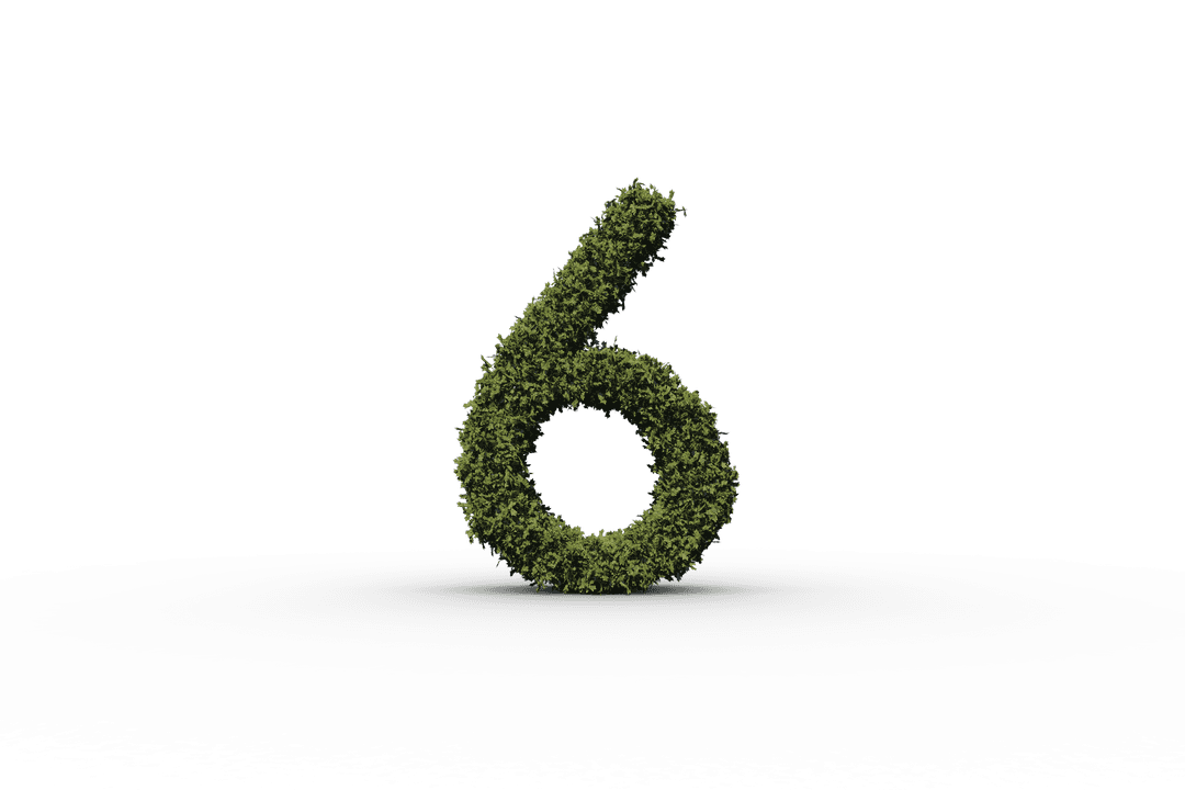 Transparent Number 6 with Green Leaf Texture