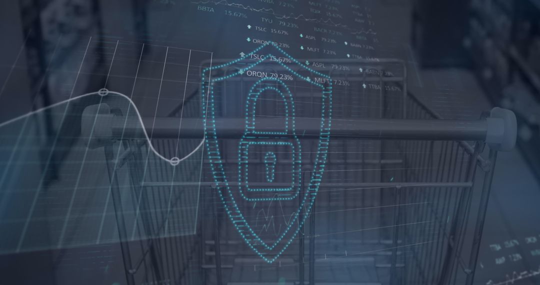 Digital Security over Shopping Cart with Financial Data Overlay