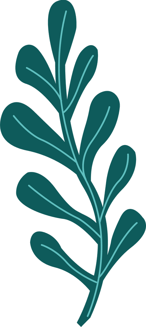 Transparent Green Botanical Sprig Illustration with Elongated Leaves