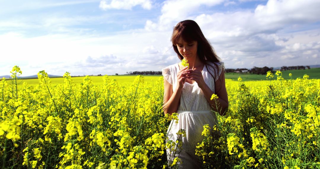 Woman in White Dress Walking in Blooming Field of Yellow Flowers - Free Images, Stock Photos and Pictures on Pikwizard.com