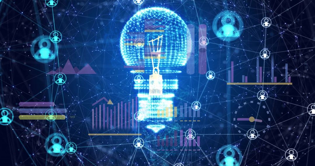 Network Connections and Data Interface Over Digital Lightbulb