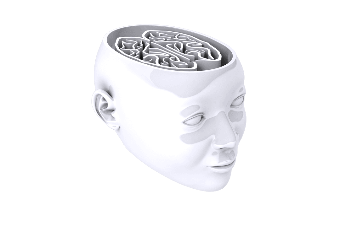 Transparent Human Head and Brain Labyrinth Illustration