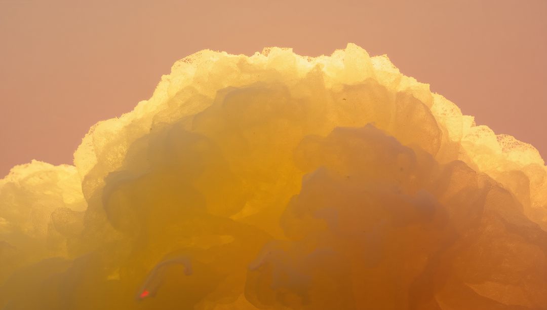 Backlit Golden Cumulus at Dawn with Peach Gradient Sky and Warm Amber Glow