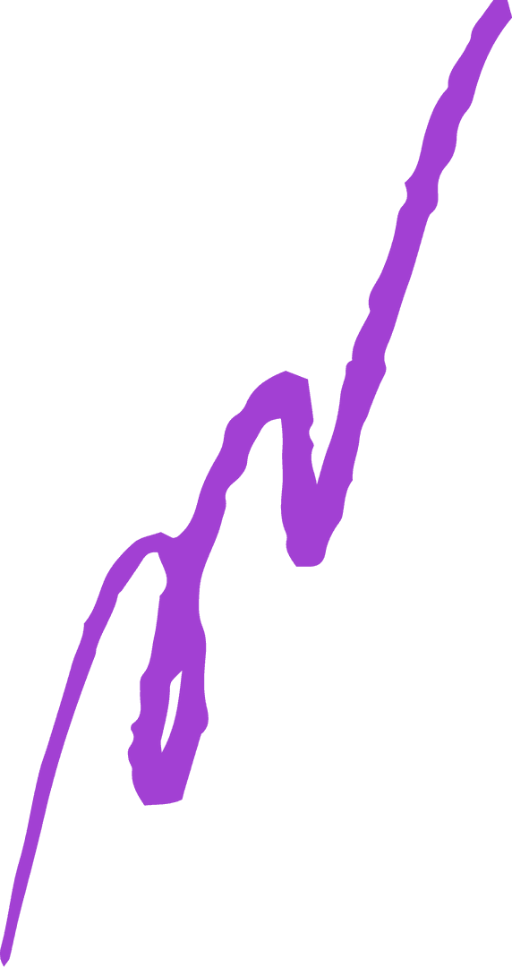 Purple Irregular Curving Line on Transparent Background
