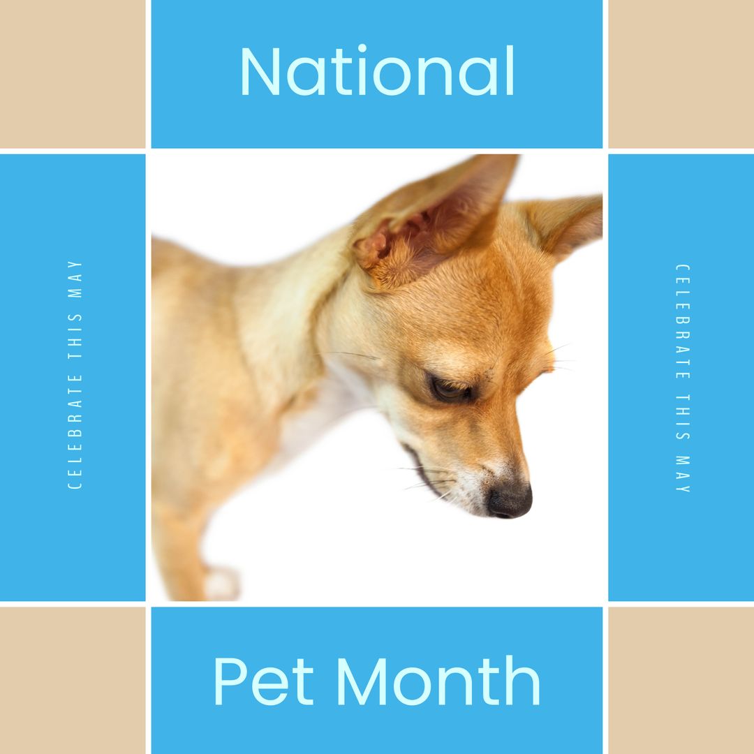 National Pet Month Celebration with Adorable Puppy Closeup - Download Free Stock Templates Pikwizard.com