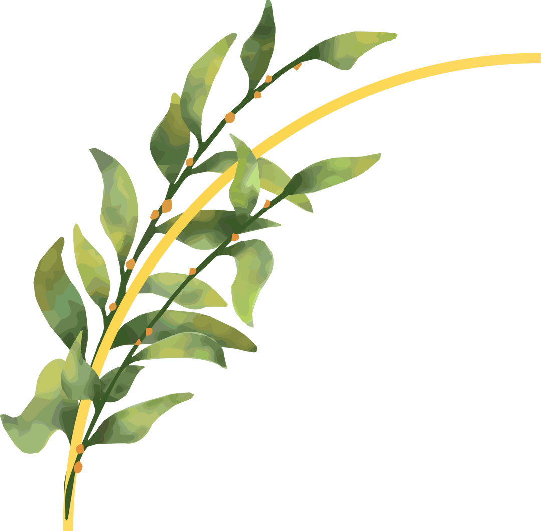 Transparent Elegance: Green Leaves with Golden Arc and Berries