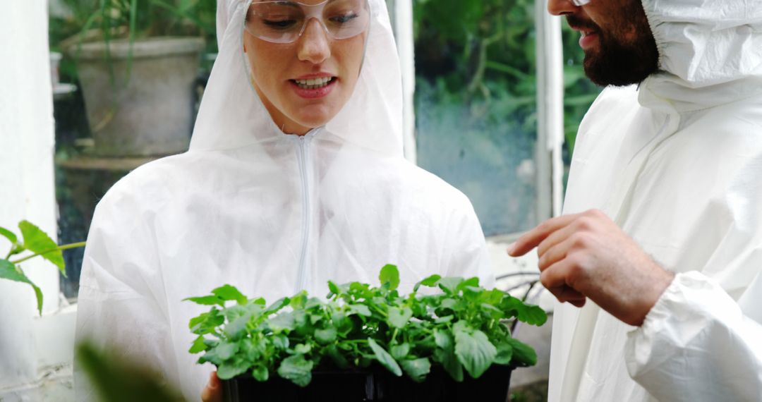 Scientists Analyzing Plant Growth in Greenhouse Laboratory - Free Images, Stock Photos and Pictures on Pikwizard.com