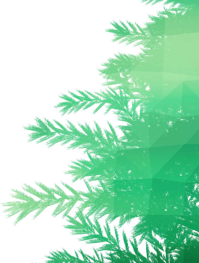 Transparent Geometric Christmas Tree Branch Design