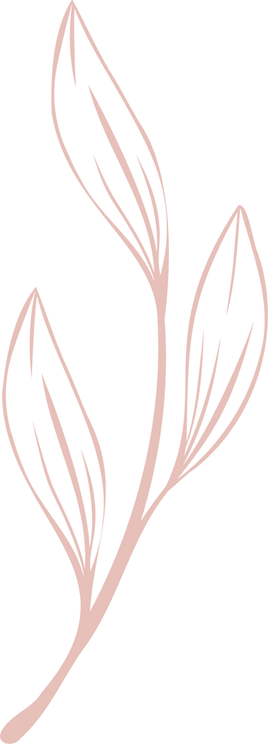 Delicate Botanical Branch Illustration with Transparent Background