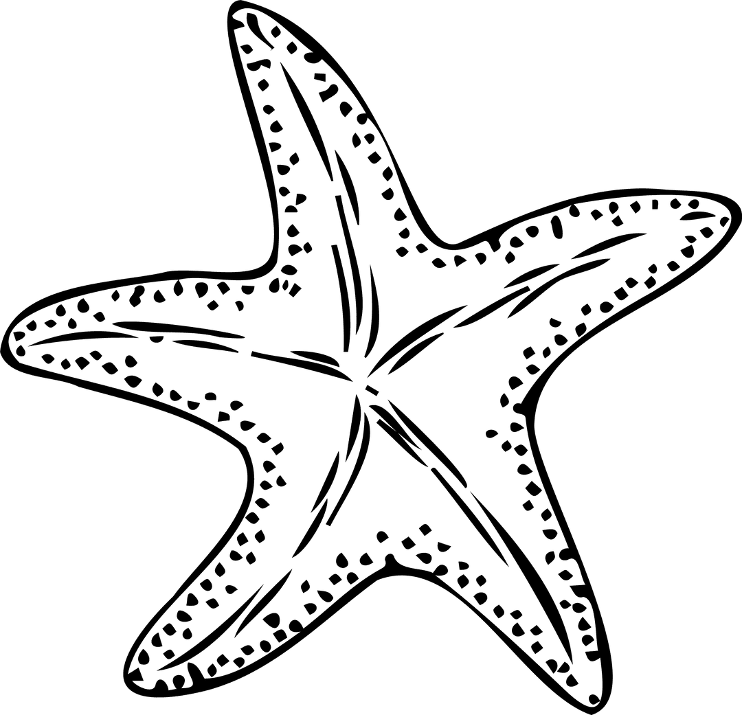 Transparent Monochrome Starfish Illustration with Dotted Arms