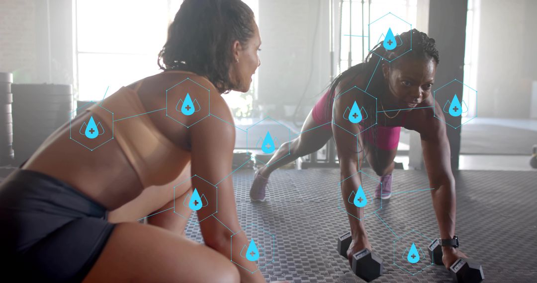 Women Doing Plank Dumbbell Workout Holding Hex Weights with Hydration Data Overlay