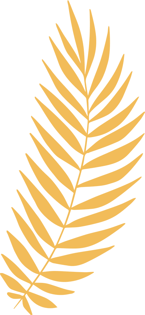 Golden Tropical Palm Frond on Transparent Background