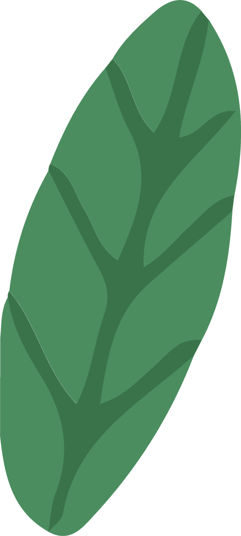 Flat Green Leaf Illustration on Transparent Background for Eco Design