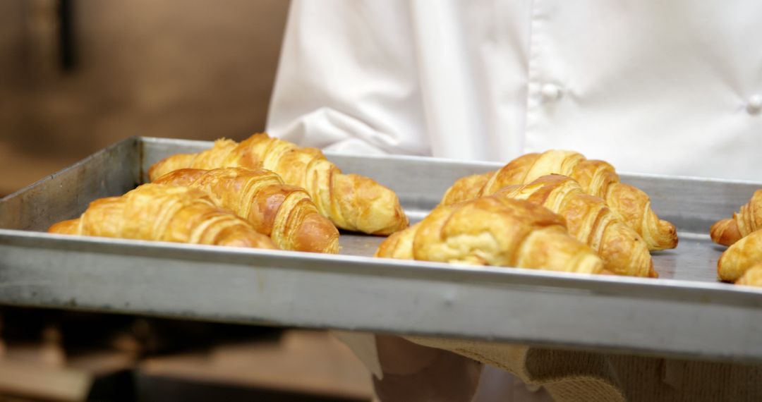 Chef showing tray of croissants - Free Images, Stock Photos and Pictures on Pikwizard.com