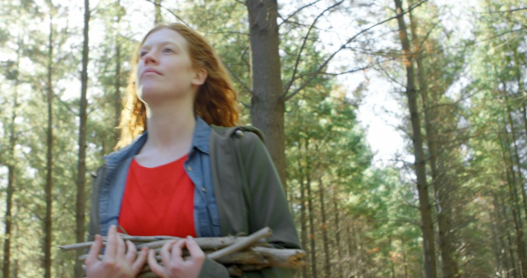 Woman Gathering Firewood in Forest Wearing Red Shirt - Free Images, Stock Photos and Pictures on Pikwizard.com