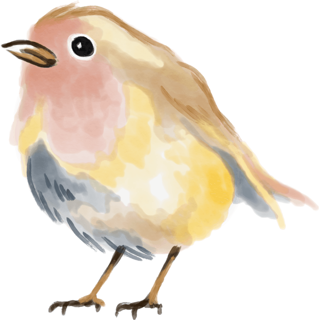 Transparent Watercolor Bird Illustration Perching