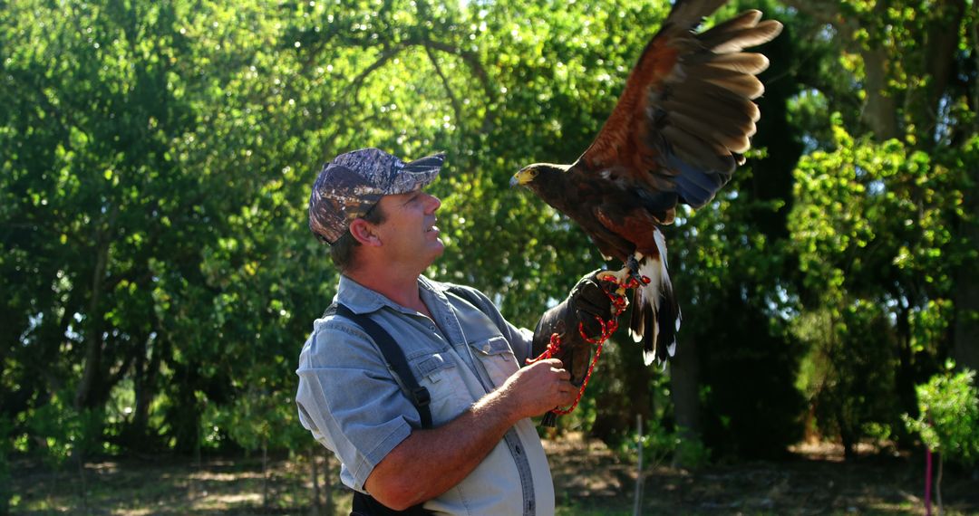 Falconer Handling Majestic Eagle Outdoors - Free Images, Stock Photos and Pictures on Pikwizard.com